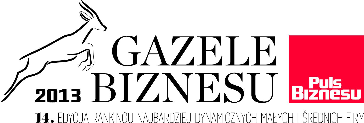 Gazele biznesu 2013